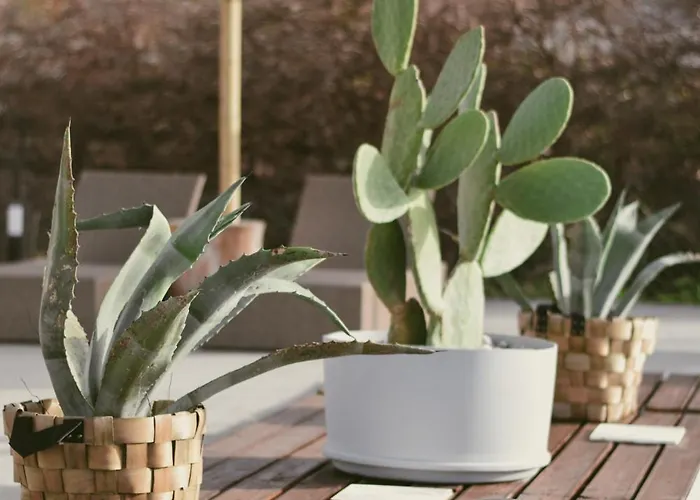 La Casa Di Lusso Casa N1 Adults Only