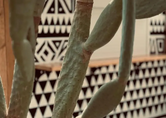 Lejlighed La Casa Di Lusso Casa N1 Adults Only *