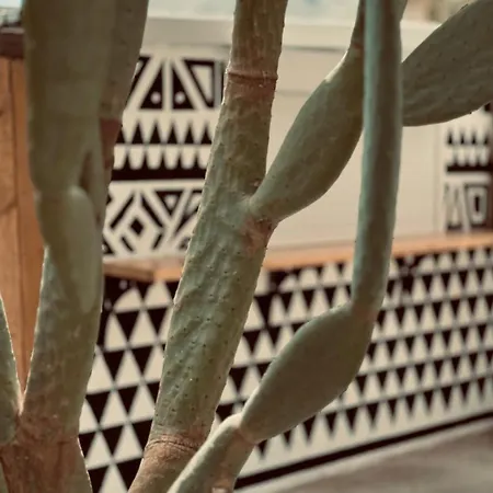 Daire La Casa Di Lusso Casa N1 Adults Only *